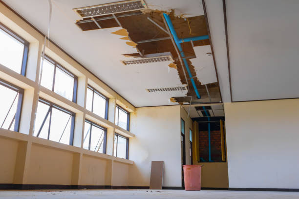 Best Water damage restoration process  in Cedarhurst, NY