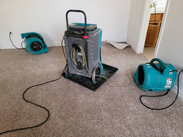 Water damage restoration process in Cedarhurst, NY