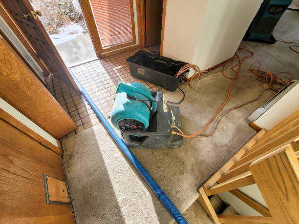 Best Flooded house restoration  in Cedarhurst, NY