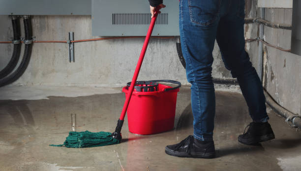Best Flooded house restoration  in Cedarhurst, NY
